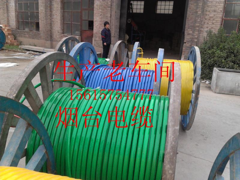 供應(yīng)陽(yáng)谷電纜煙臺(tái)電纜鑫瑞電纜*
