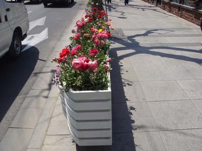 供應(yīng)嘉興5+4生態(tài)木花箱  廠家批發(fā)生態(tài)木花箱 花缽 花盆 園林景觀