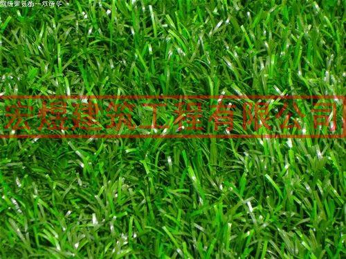 運(yùn)動(dòng)場(chǎng)地地坪人造草坪圖片