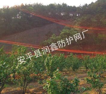 供應(yīng)天津防鳥(niǎo)網(wǎng)