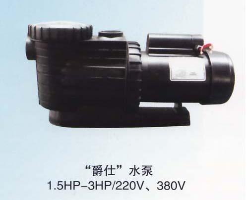 供應(yīng)各地區(qū)爵士泳池設(shè)備水泵專賣