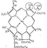 供應(yīng)葉綠醇價(jià)格葉綠醇產(chǎn)地葉綠醇生產(chǎn)廠家
