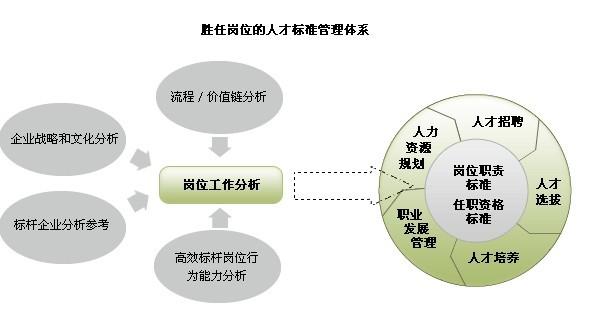 专业胜任岗位人才标准体系设计图片