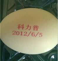 邯鄲雞蛋噴碼機圖片