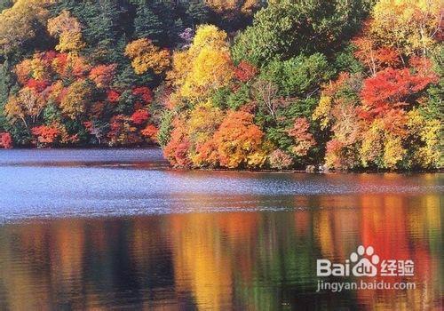 供應(yīng)九寨溝包車電話