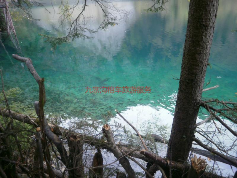 供應(yīng)旅游九寨溝租車/九寨溝金秋旺季包車