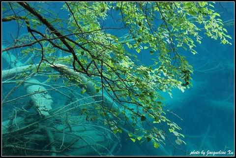 供應(yīng)黃龍的五彩池/黃龍機(jī)場(chǎng)包車