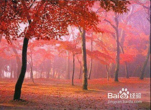 供應(yīng)九寨溝包車電話