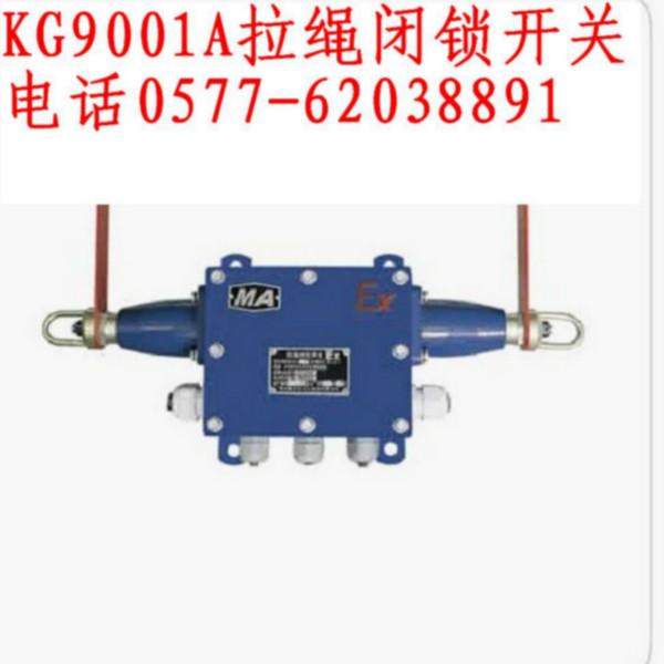 KG9001A拉绳闭锁开关图片