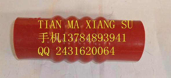 DZ932-5953-5325內(nèi)氟外硅膠管圖片