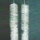 供應安徽彈性填料