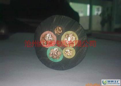 供應(yīng)塔吊*電纜