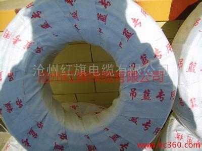 供應(yīng)電動(dòng)吊蘭*電纜