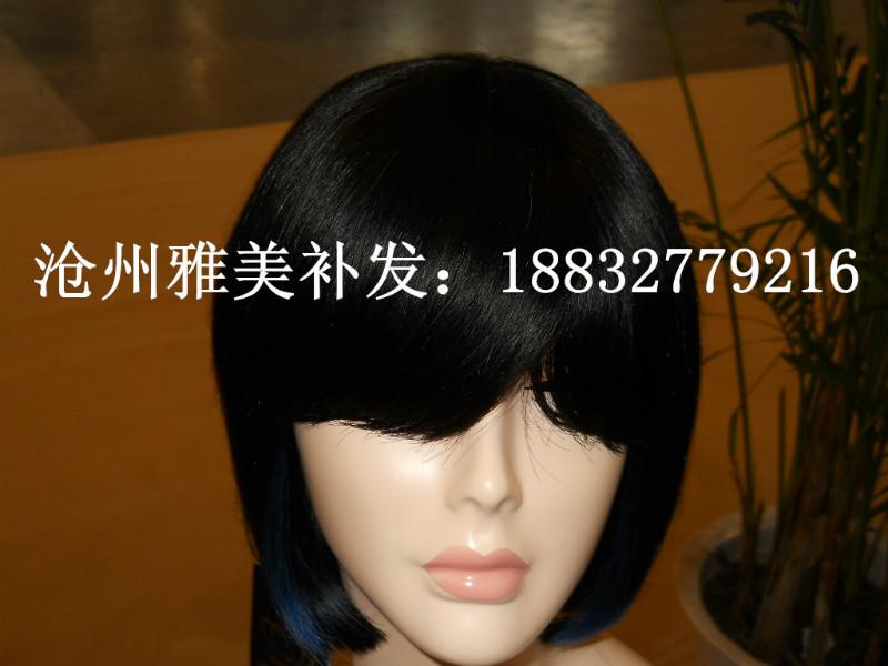 供應(yīng)南皮補(bǔ)發(fā)店 ，南皮縣專業(yè)假發(fā)店，南皮縣脫發(fā)，南皮假發(fā)批發(fā)