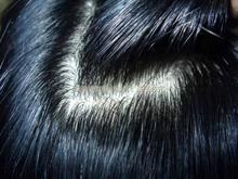 滄州專業(yè)補發(fā)圖片