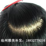 廊坊假發(fā)圖片