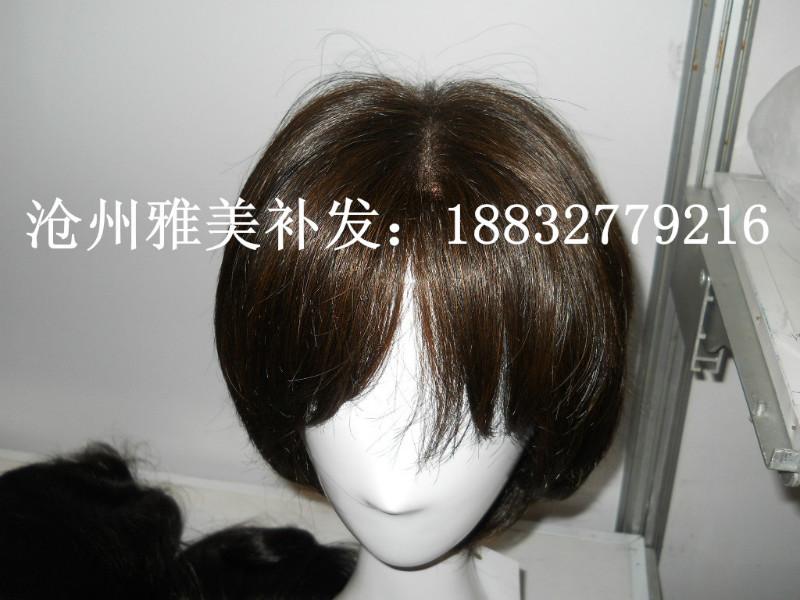 供應(yīng)南皮補(bǔ)發(fā)店 ，南皮縣專業(yè)假發(fā)店，南皮縣脫發(fā)，南皮假發(fā)批發(fā)