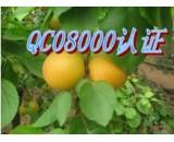 供應(yīng)江蘇ISO27000認(rèn)證管理公司 ISO27000認(rèn)證認(rèn)證體系