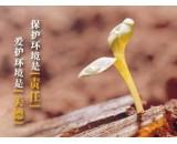 供应昆山SA8000认证公司大概的费用,昆山SA8000认证体系