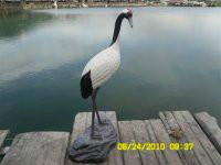 供應(yīng)樹脂仙鶴-仿真仙鶴