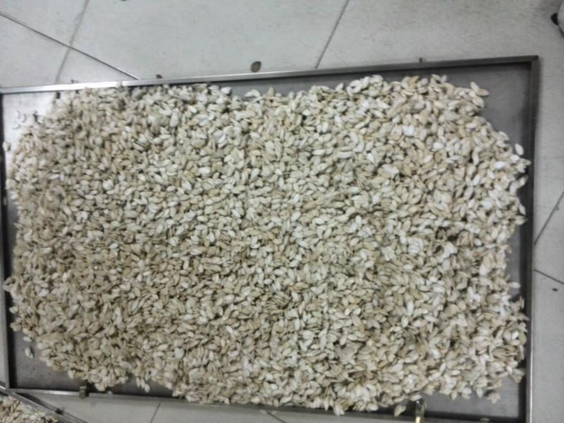 供應(yīng)葵瓜子南瓜子微波干燥提香機(jī)價(jià)格