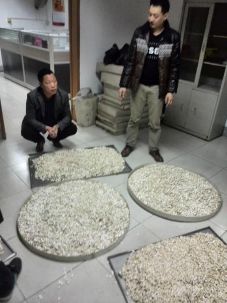 供應(yīng)葵瓜子南瓜子微波干燥提香機(jī)價(jià)格