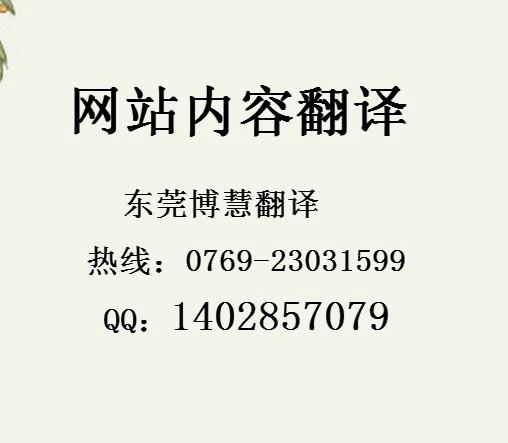 网站内容翻译和软件本地化翻译图片