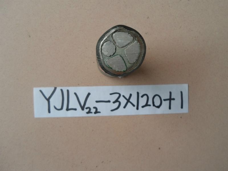 供應YJV電力電纜  高低壓交聯(lián)電纜  YJV/VV電力電纜型號    YJLV電力電纜 YJV電力電纜型號