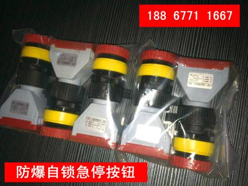 急停按鈕圖片/急停按鈕樣板圖 (4)