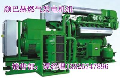 城市污水廠污泥厭氧消化發(fā)電項目