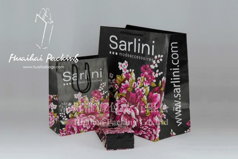 供應(yīng)sarlini圍巾購(gòu)物袋_涂布牛皮紙袋_服裝包裝袋_飾品包裝袋