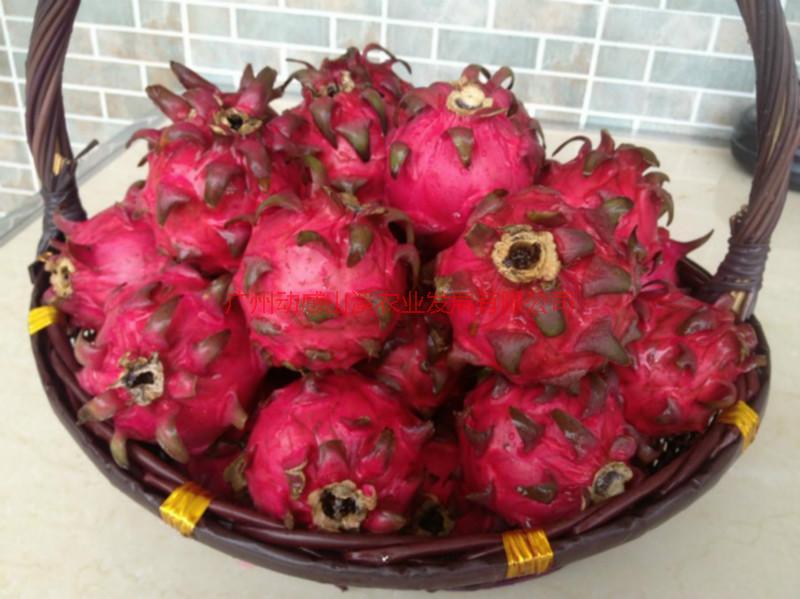 供應(yīng)大枝條紅水晶供應(yīng)商，大枝條紅水晶種植基地，廣州大枝條紅水晶