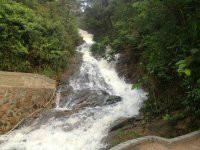 供應(yīng)好吃好玩的生態(tài)果園-有名的生態(tài)果園-生態(tài)果園聯(lián)系電話