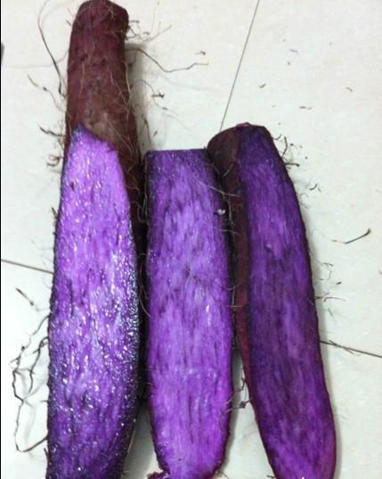 供應(yīng)紫參淮山批發(fā)，紫參淮山種植基地，紫參淮山批發(fā)價(jià)格