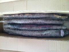 收購荊州紫玉淮山，大量收購紫淮山，紫淮山批發(fā)價(jià)格