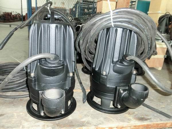 供應(yīng)WQG30-2工程泵