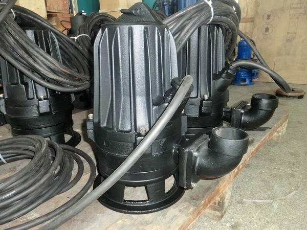 供應(yīng)WQG30-2工程泵