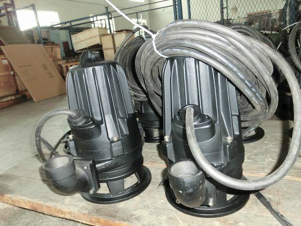 供應(yīng)WQG30-2工程泵