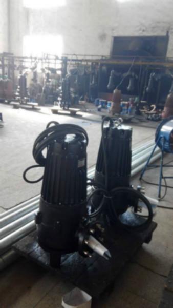 供應(yīng)迪藍(lán)仕AS16-2CB潛水排污泵