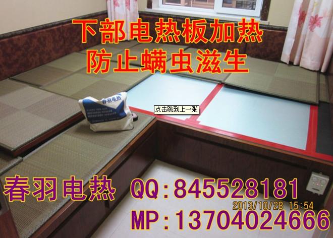 遼中電熱炕沈陽(yáng)電熱炕電暖炕電地炕