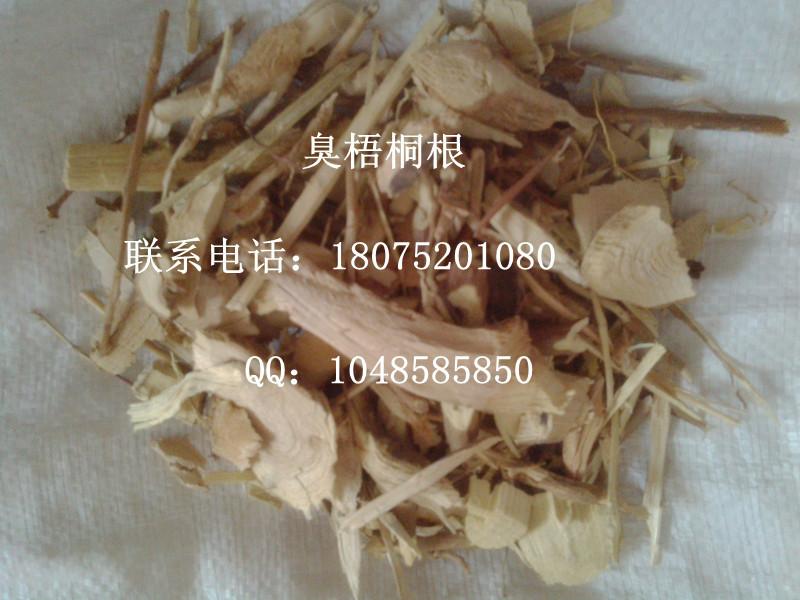 扁豆花圖片/扁豆花樣板圖 (2)