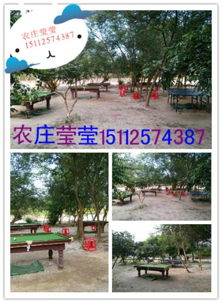 深圳農家樂國慶各種優(yōu)惠農家樂瑩瑩帶您體驗各種開心