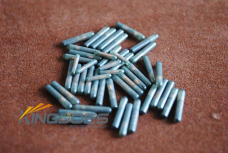 微型寵物芯片RFID動物芯片 芯片