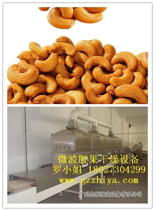 供應(yīng)志雅腰果微波烘烤設(shè)備