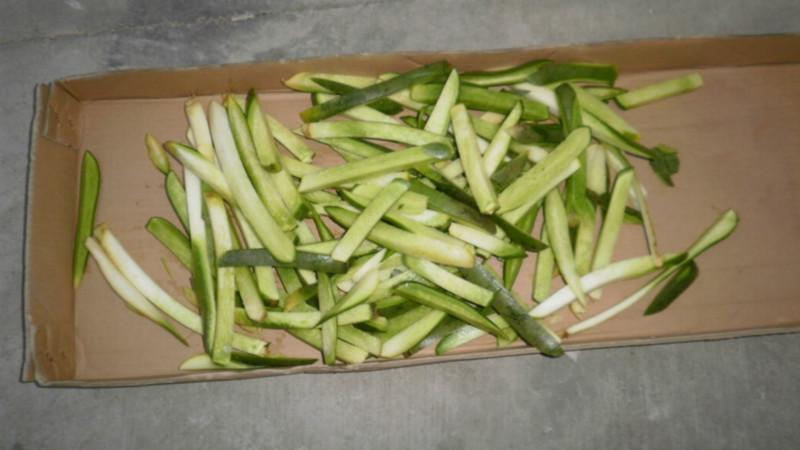 供應(yīng)*芋頭切條機(jī)廠家直銷/芋頭切條機(jī)價(jià)格/芋頭切條機(jī)供應(yīng)商 廠家專業(yè)生產(chǎn)切條機(jī) 土豆切條機(jī)