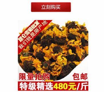 供應(yīng)高海拔雪菊  昆侖山脈雪菊