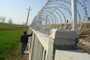 供應(yīng)刀刺滾籠/刺絲滾籠*誠(chéng)信企業(yè)報(bào)價(jià)咨詢-安平縣菲璇刀刺滾籠廠