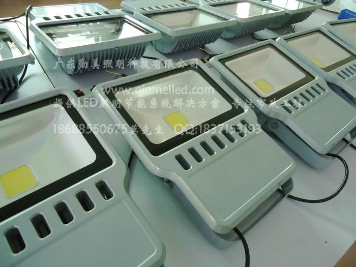 供應大功率LED100瓦綠色照樹泛光燈