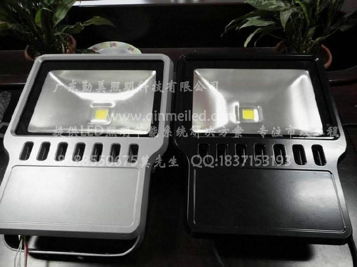 供應大功率LED100瓦綠色照樹泛光燈