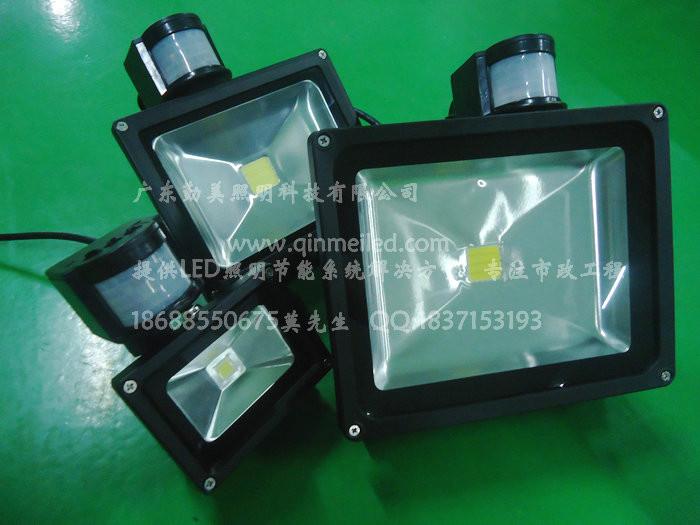 供應(yīng)大功率LED10W人體紅外感應(yīng)泛光燈